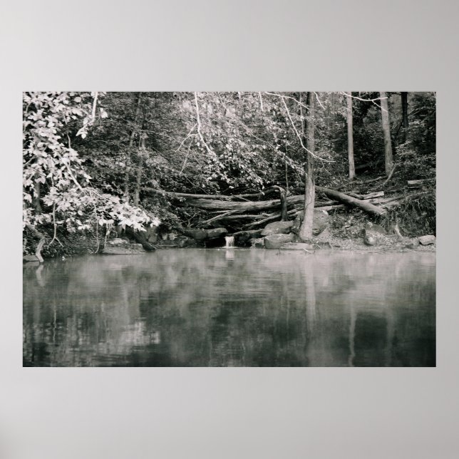 Gray Morning Poster (Vorne)