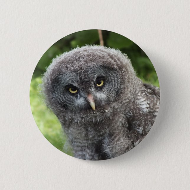 GRAY OWL BUTTON (Vorderseite)