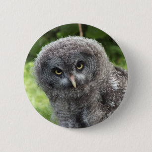 GRAY OWL BUTTON