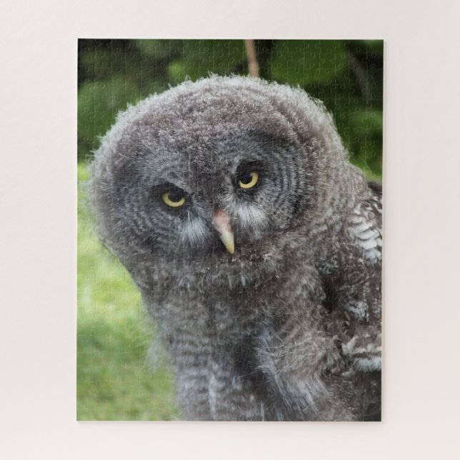 GRAY OWL PUZZLE (Vertikal)