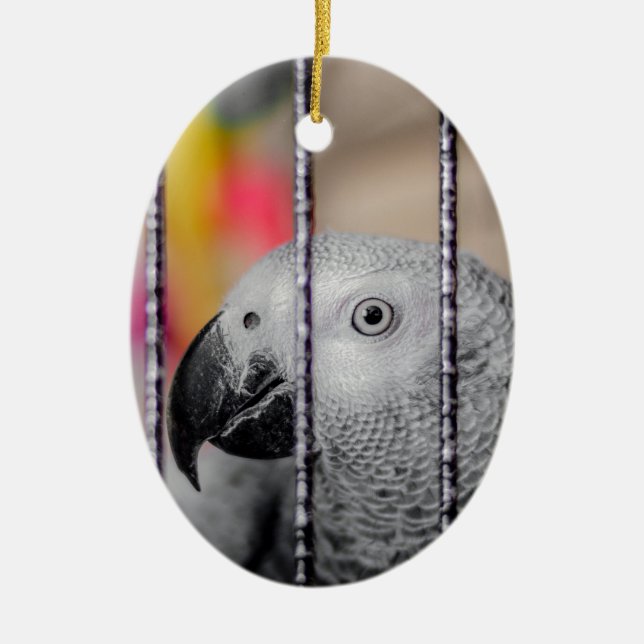 Gray Parrot Keramik Ornament (Vorne)