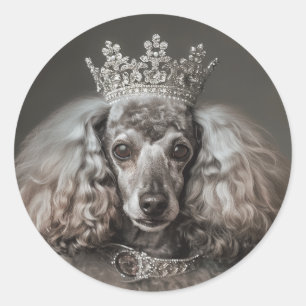 Gray Poodle als Prinzessin verkleidet Runder Aufkleber