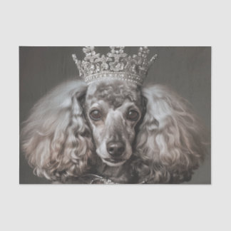 Gray Poodle als Prinzessin verkleidet Seidenpapier