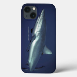 Gray Reef Shark in Yap Micronesia iPhone 13 Hülle
