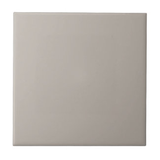 Gray Requisite Gray Square Küche und Badezimmer Fliese