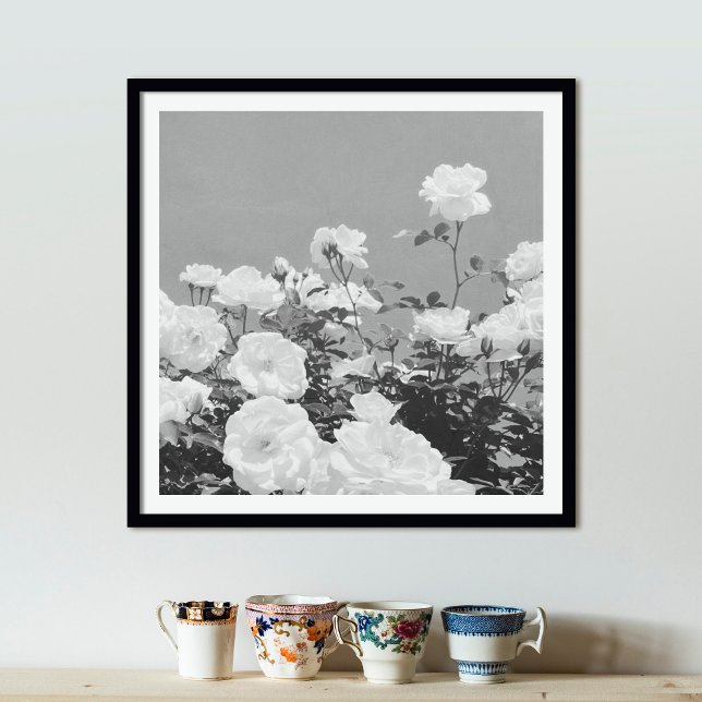 Gray Roses Floral Garden Photo Art Print Poster (Von Creator hochgeladen)