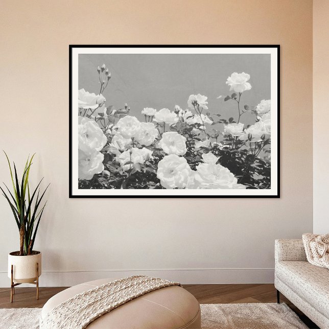 Gray Roses Floral Garden Photo Art Print Poster (Von Creator hochgeladen)