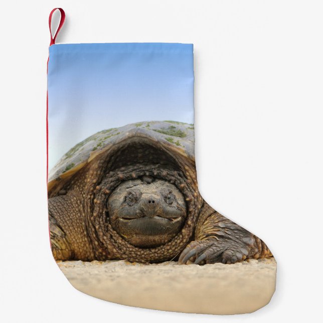 GRAY SAND TURTLE KLEINER WEIHNACHTSSTRUMPF (Vorderseite)