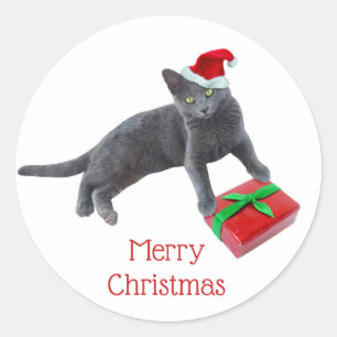 Gray Santa Cat Stickers