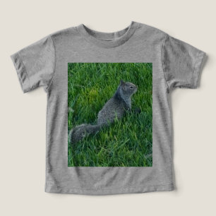 Gray Sciuniri (Eichhörnchen)