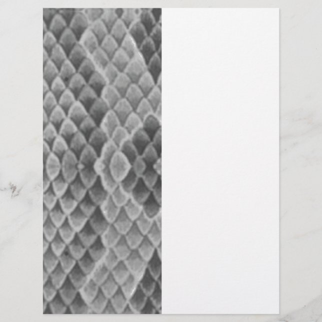 Gray Snakeskin (Vorderseite)