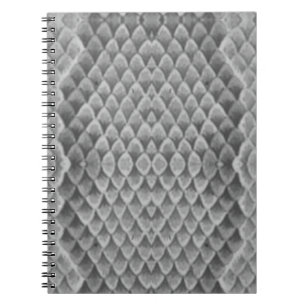 Gray Snakeskin Notizblock