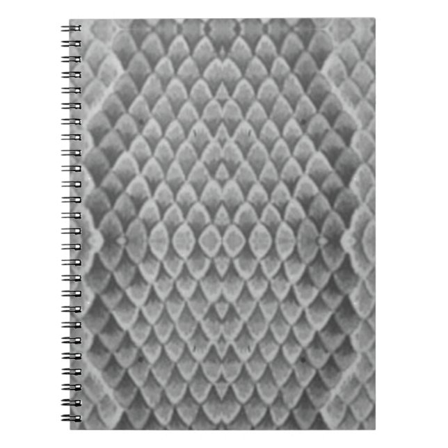 Gray Snakeskin Notizblock (Vorderseite)