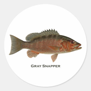 Gray Snapper Logo Runder Aufkleber
