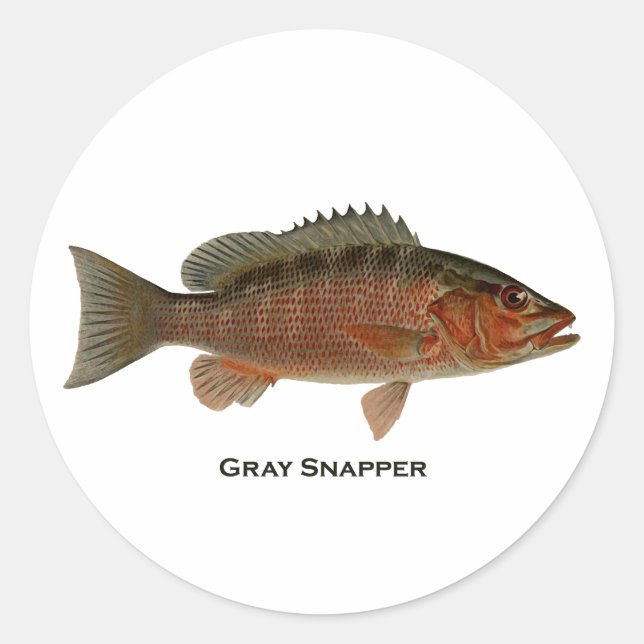Gray Snapper Logo Runder Aufkleber (Vorderseite)