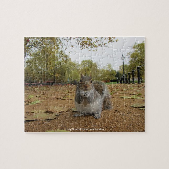 Gray Squirel Hyde Park London Puzzle (Horizontal)