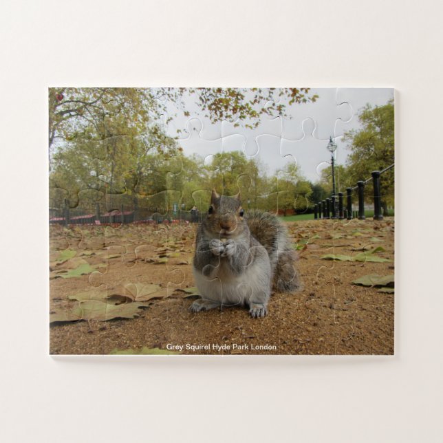 Gray Squirel Hyde Park London Puzzle (Horizontal)