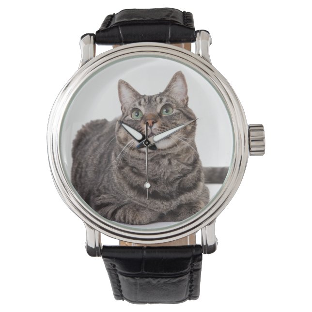 Gray Tabby Cat Armbanduhr (Vorderseite)