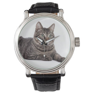 Gray Tabby Cat Armbanduhr