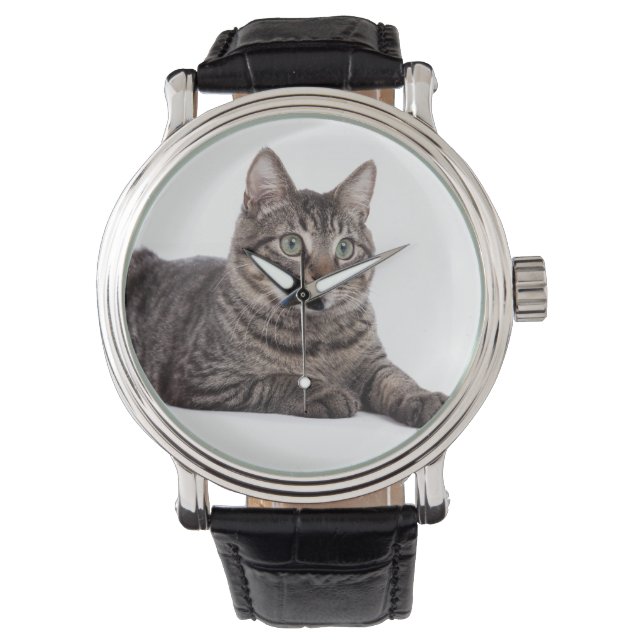 Gray Tabby Cat Armbanduhr (Vorderseite)