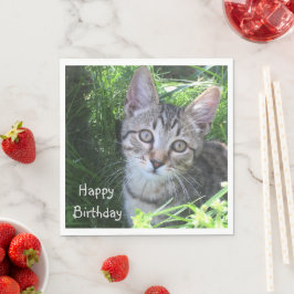 Gray Tabby Cat Birthday Serviette