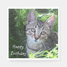 Gray Tabby Cat Birthday Serviette