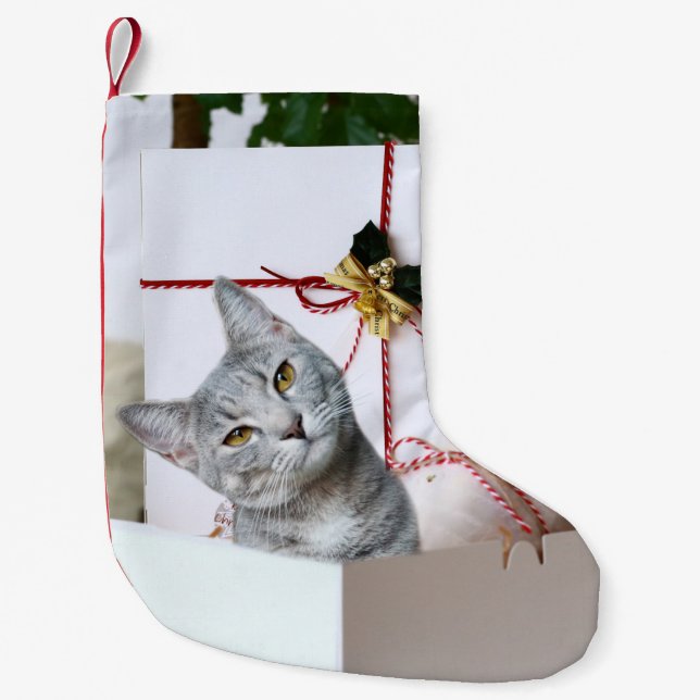 Gray Tabby Cat Christmas Kleiner Weihnachtsstrumpf (Vorderseite)
