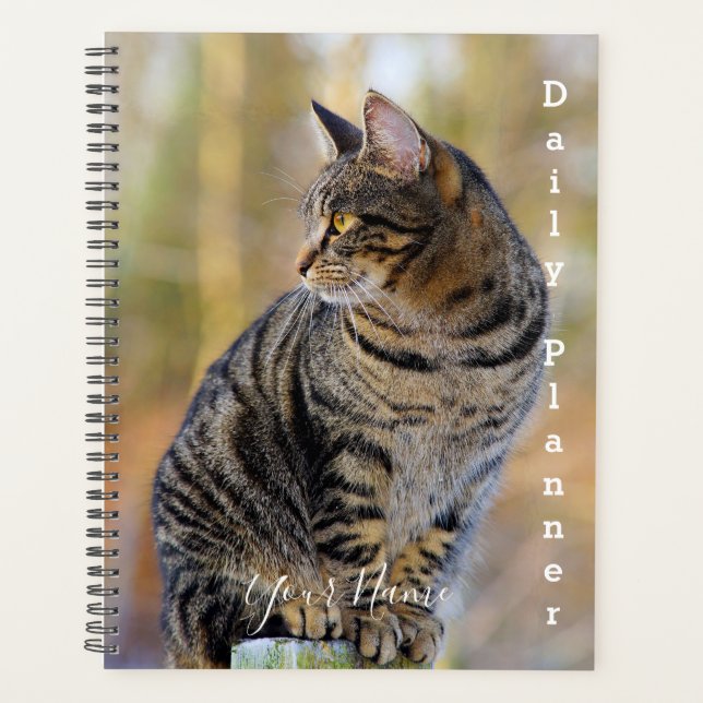 Gray Tabby Cat - Daily Planner - HAMbWG Planer (Vorderseite)