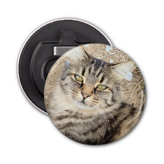 Gray Tabby Cat Flasche Opener Flaschenöffner