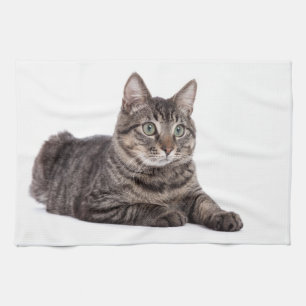 Gray Tabby Cat Geschirrtuch