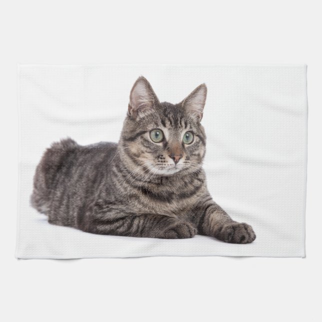 Gray Tabby Cat Geschirrtuch (Horizontal)