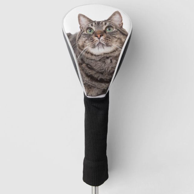 Gray Tabby Cat Golf Headcover (Vorderseite)