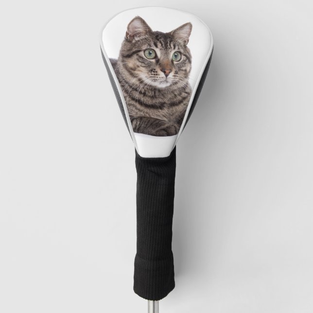 Gray Tabby Cat Golf Headcover (Vorderseite)