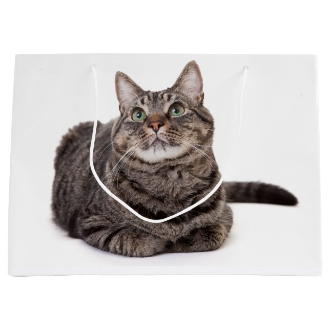 Gray Tabby Cat Große Geschenktüte (Vorderseite)