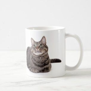 Gray Tabby Cat Kaffeetasse