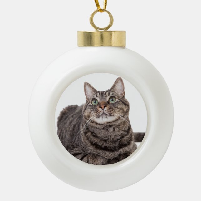 Gray Tabby Cat Keramik Kugel-Ornament (Vorderseite)