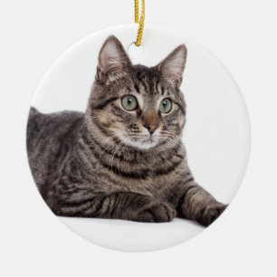 Gray Tabby Cat Keramik Ornament