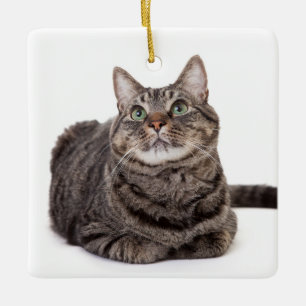 Gray Tabby Cat Keramikornament