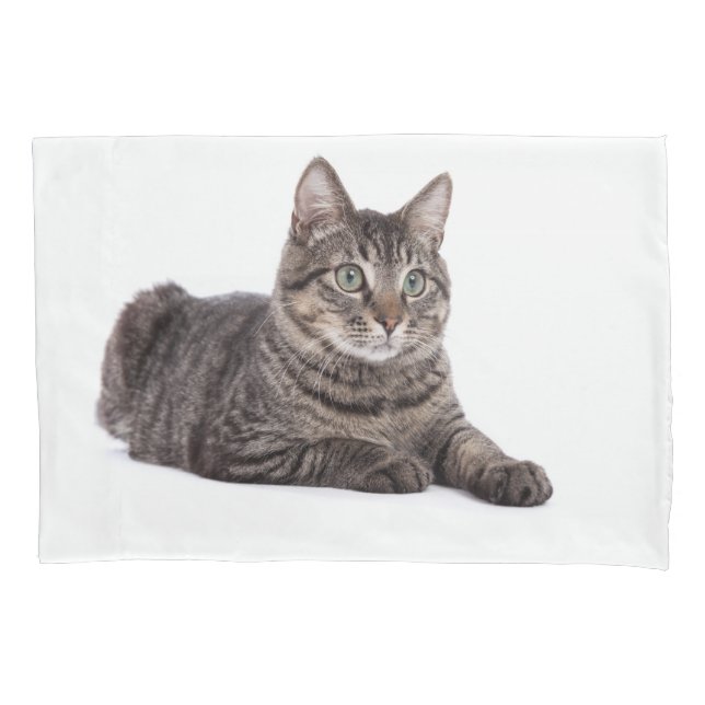 Gray Tabby Cat Kissenbezug (Vorderseite)