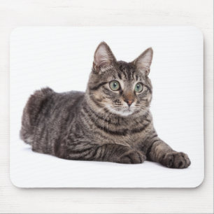 Gray Tabby Cat Mousepad