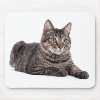Gray Tabby Cat Mousepad