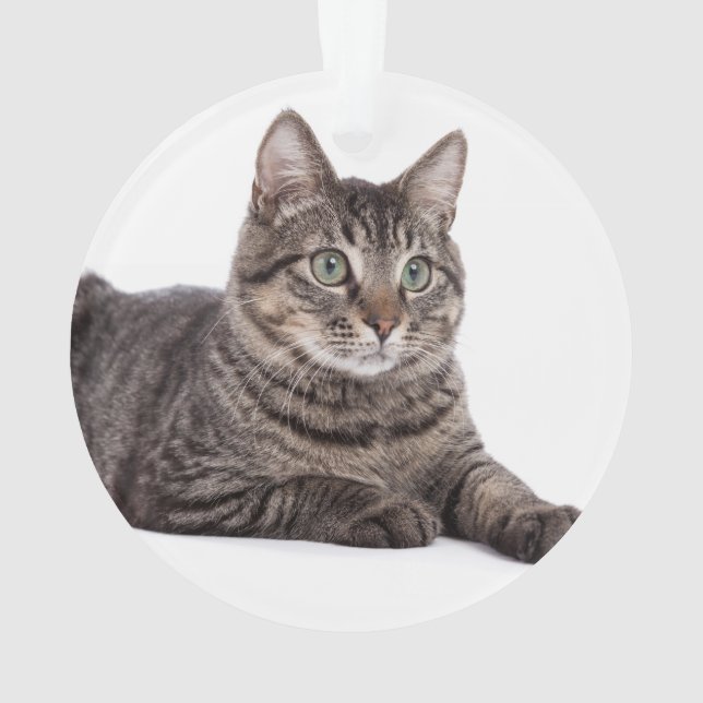 Gray Tabby Cat Ornament (Rückseite)
