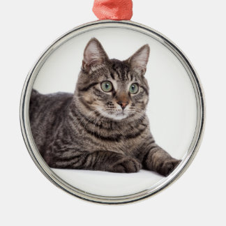 Gray Tabby Cat Ornament Aus Metall