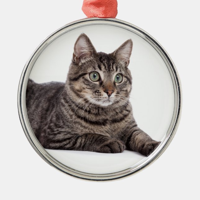 Gray Tabby Cat Ornament Aus Metall (Vorne)
