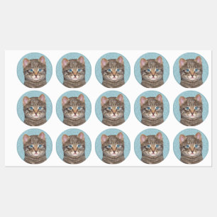 Gray Tabby Cat Painting - Niedliche Original Cat A Etiketten