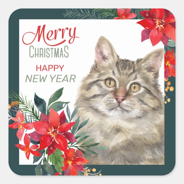 Gray Tabby Cat Poinsettia - Weihnachten Quadratischer Aufkleber (Vorderseite)