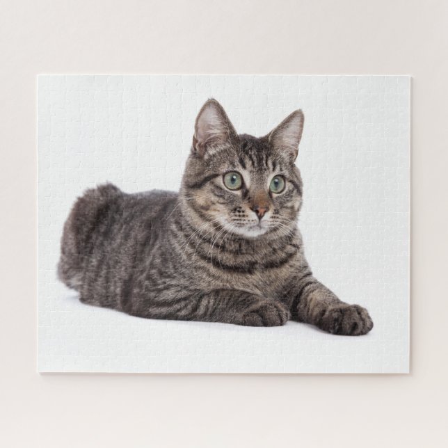 Gray Tabby Cat Puzzle (Horizontal)