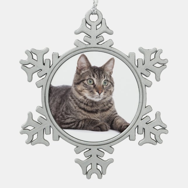 Gray Tabby Cat Schneeflocken Zinn-Ornament (Vorderseite)