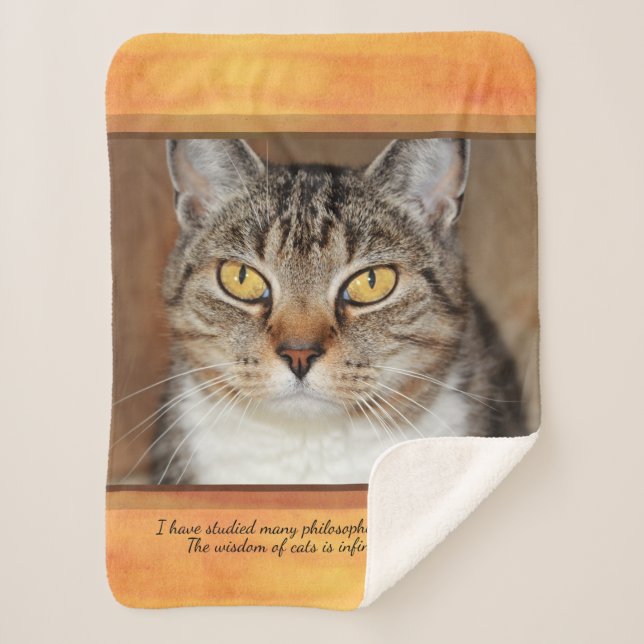Gray Tabby Cat Sherpadecke (Vorderseite)