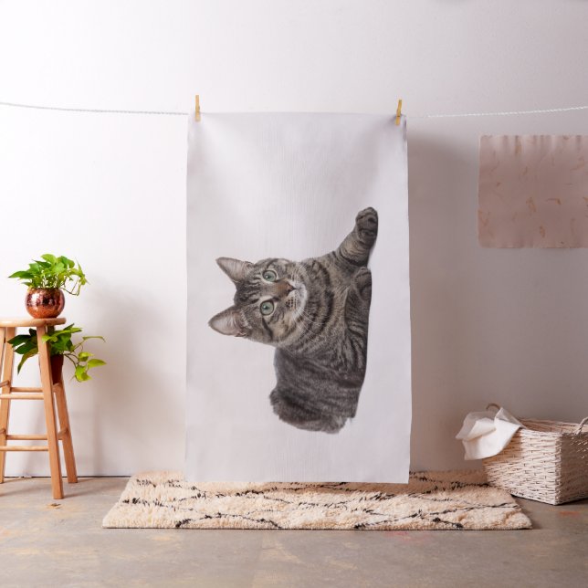 Gray Tabby Cat Stoff (Beispiel)
